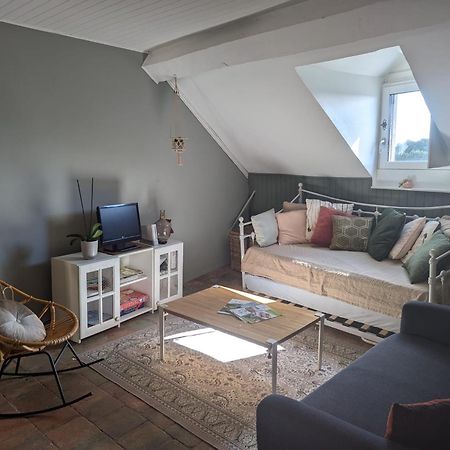 שינון Appartement Des Hirondelles , Au Pied Du Chateau מראה חיצוני תמונה