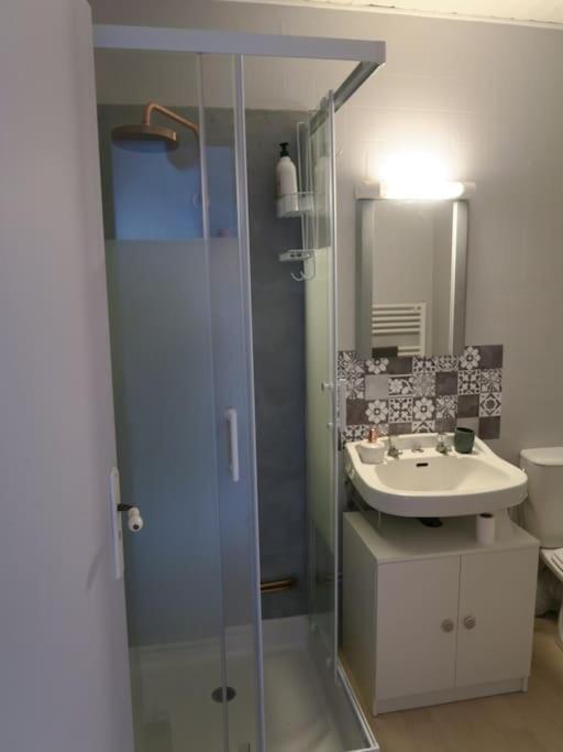 שינון Appartement Des Hirondelles , Au Pied Du Chateau מראה חיצוני תמונה