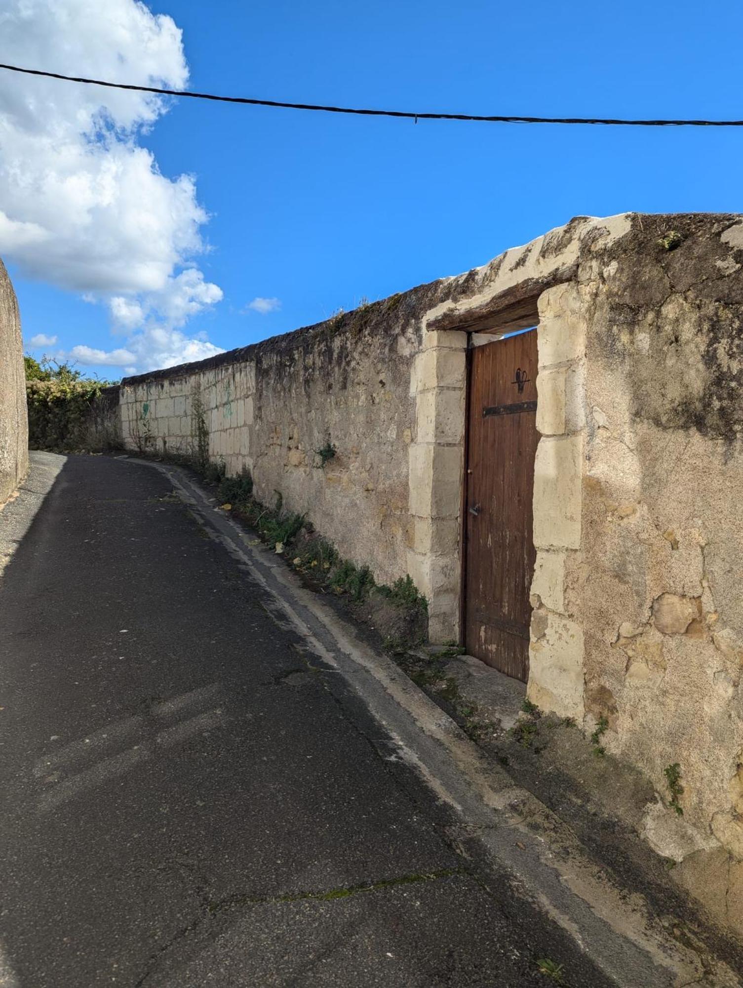 שינון Appartement Des Hirondelles , Au Pied Du Chateau מראה חיצוני תמונה