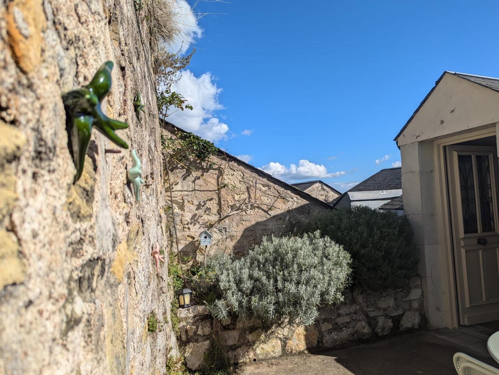 שינון Appartement Des Hirondelles , Au Pied Du Chateau מראה חיצוני תמונה