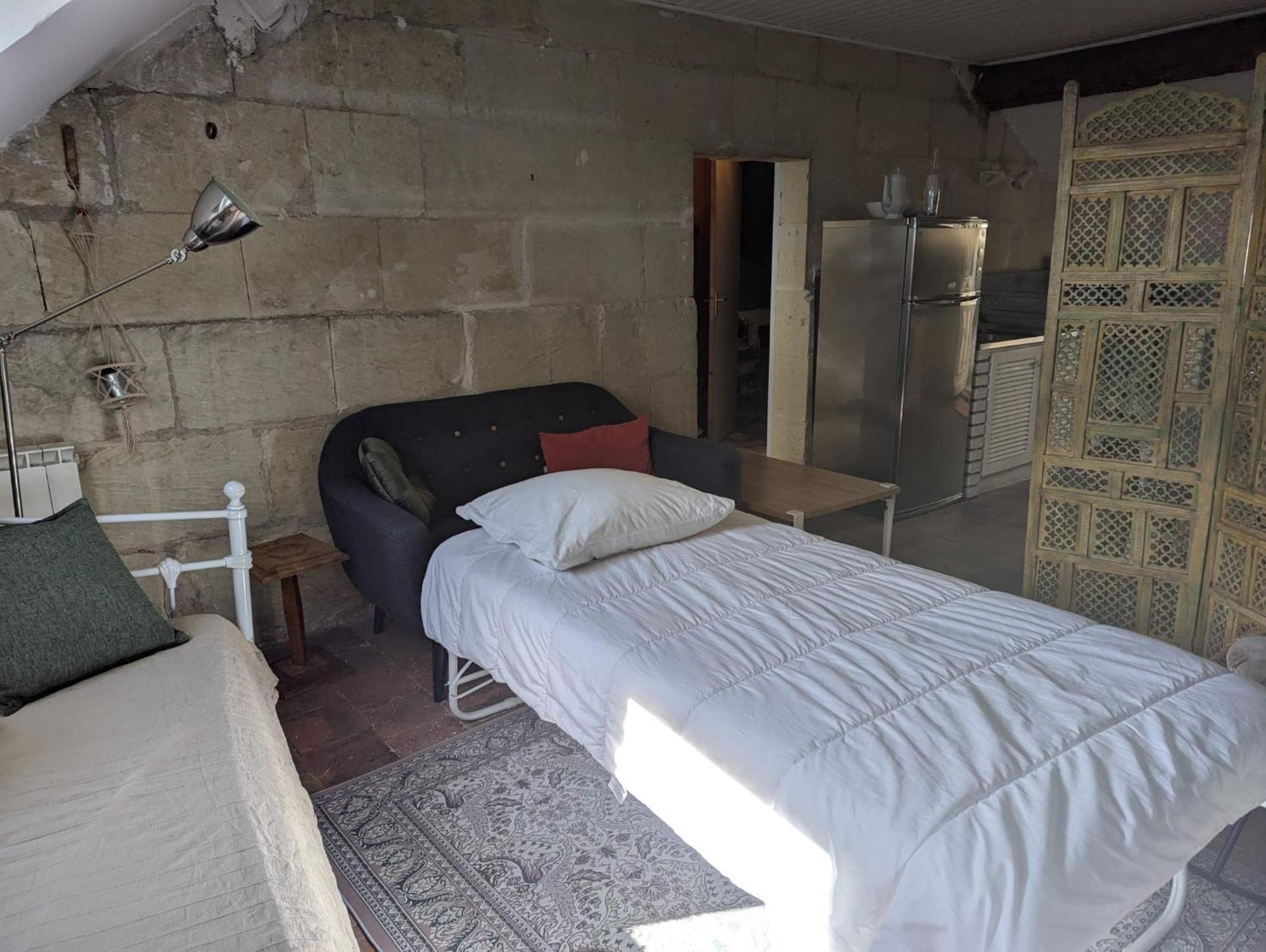 שינון Appartement Des Hirondelles , Au Pied Du Chateau מראה חיצוני תמונה