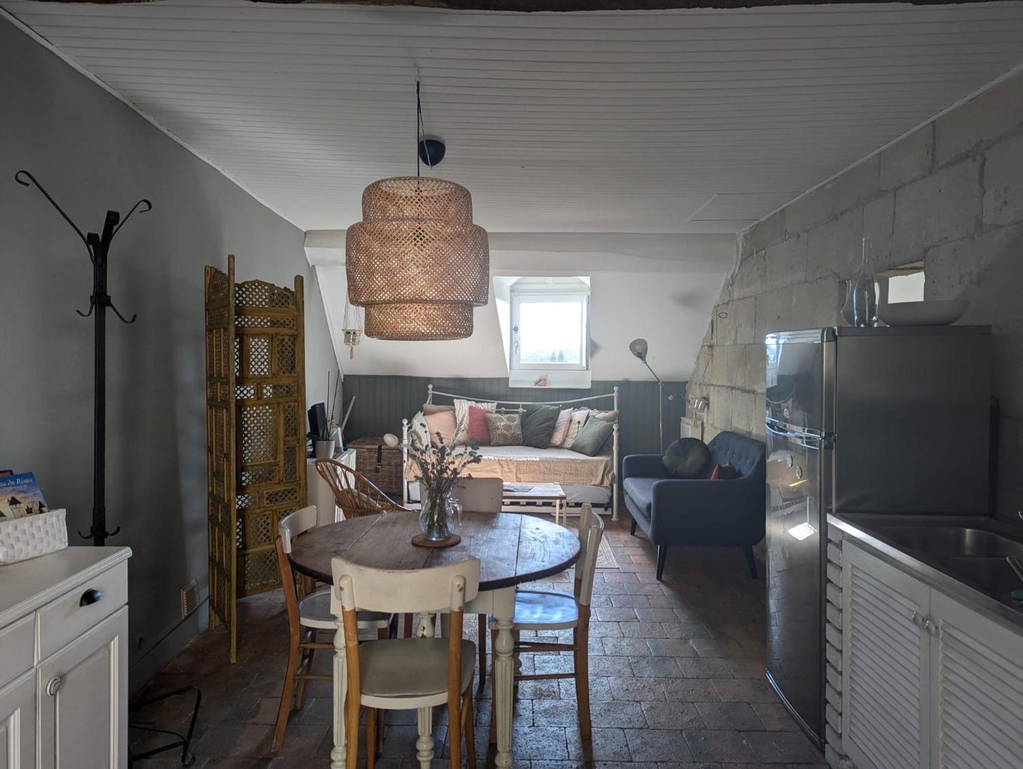 שינון Appartement Des Hirondelles , Au Pied Du Chateau מראה חיצוני תמונה